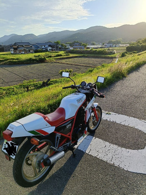 Yamaha Motorcycle Frames Srx250F 51Y Ysp
