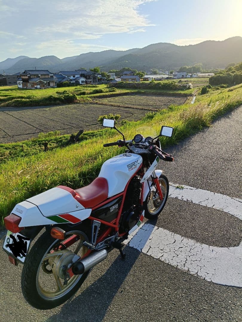 Yamaha Motorcycle Frames Srx250F 51Y Ysp