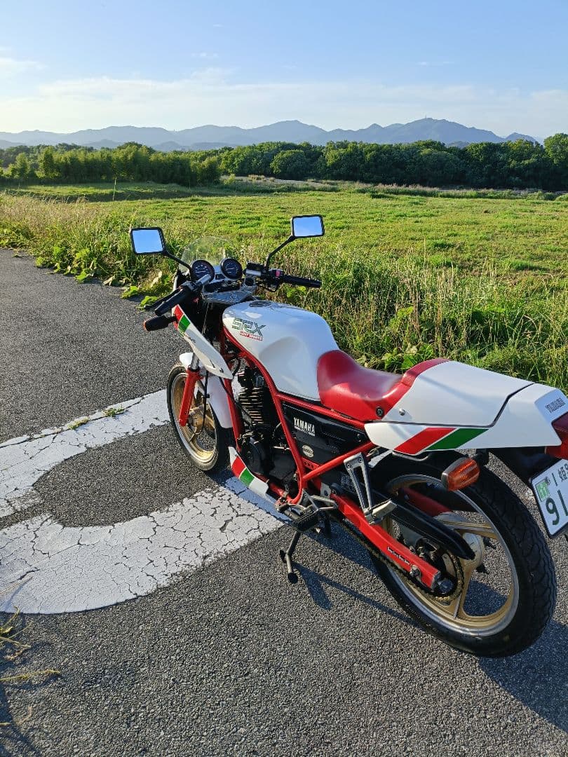 Yamaha Motorcycle Frames Srx250F 51Y Ysp