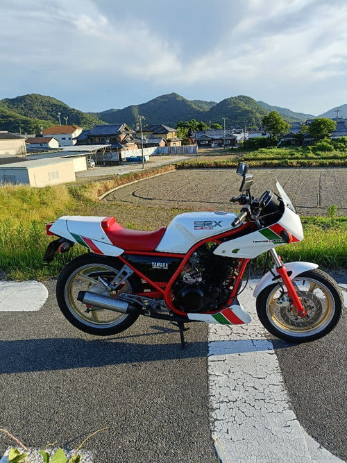 Yamaha Motorcycle Frames Srx250F 51Y Ysp