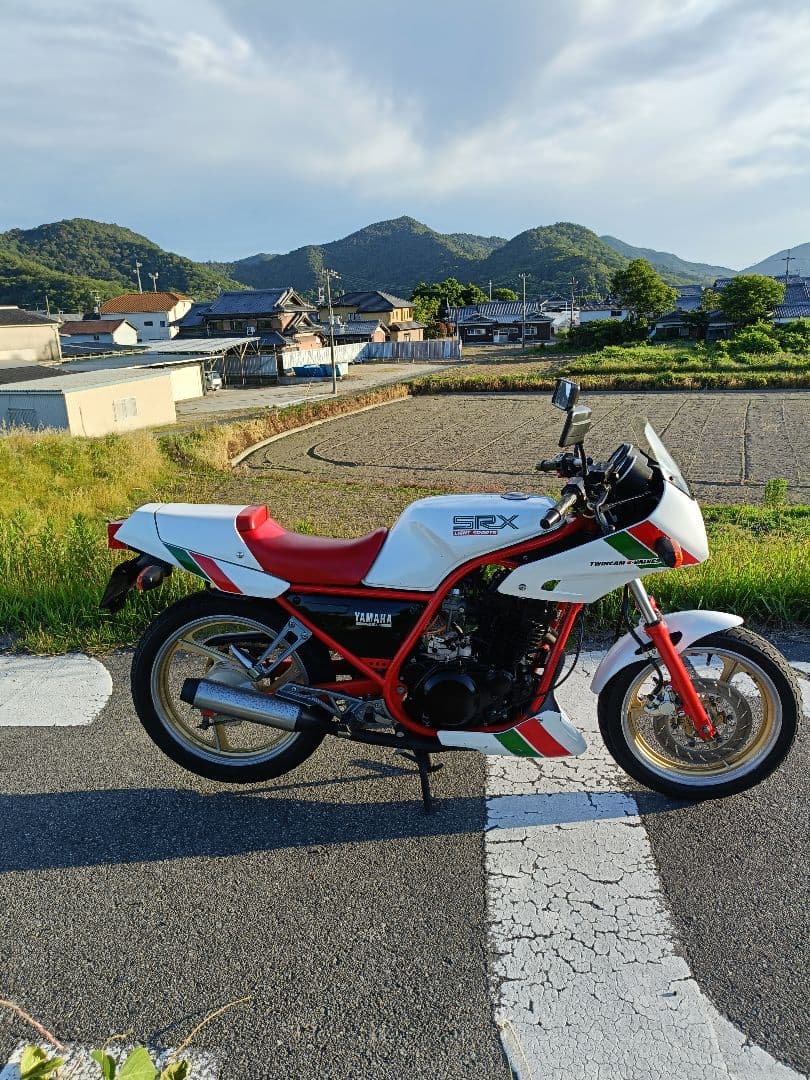 Yamaha Motorcycle Frames Srx250F 51Y Ysp