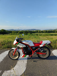 Yamaha Motorcycle Frames Srx250F 51Y Ysp