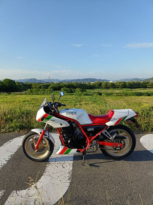 Yamaha Motorcycle Frames Srx250F 51Y Ysp