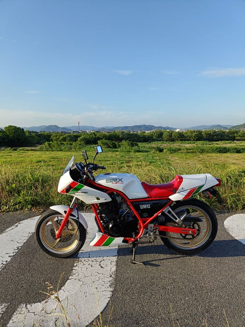 Yamaha Motorcycle Frames Srx250F 51Y Ysp