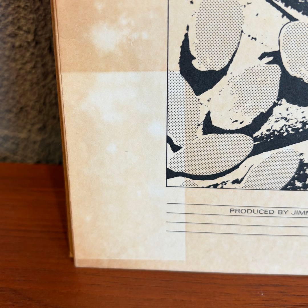 Western Music Led Zeppelin In Through The Out Door Lp