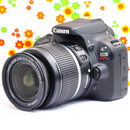 Canon Digital Slr Eos Kiss X7