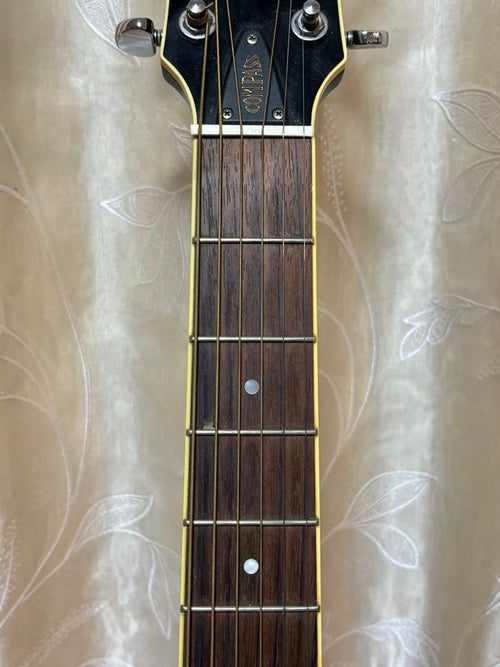 Acoustic Guitars Yamaha Cpx700