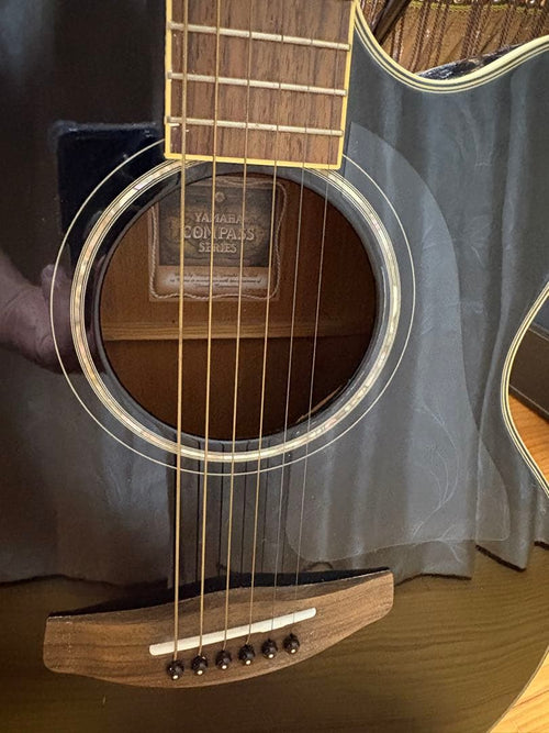 Acoustic Guitars Yamaha Cpx700