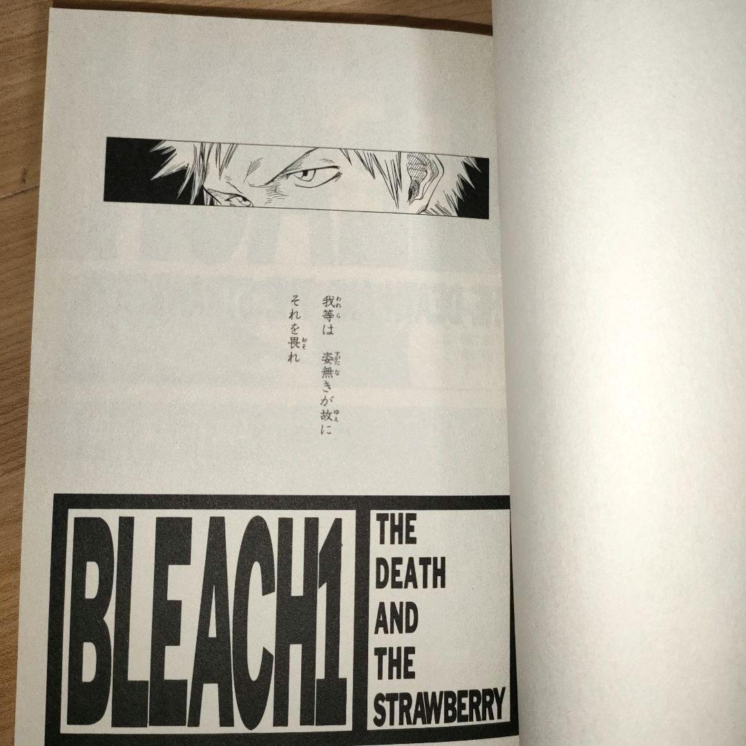 Boy'S Manga Bleach 1