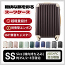 Carry Case Ss Tsa 2 3 1