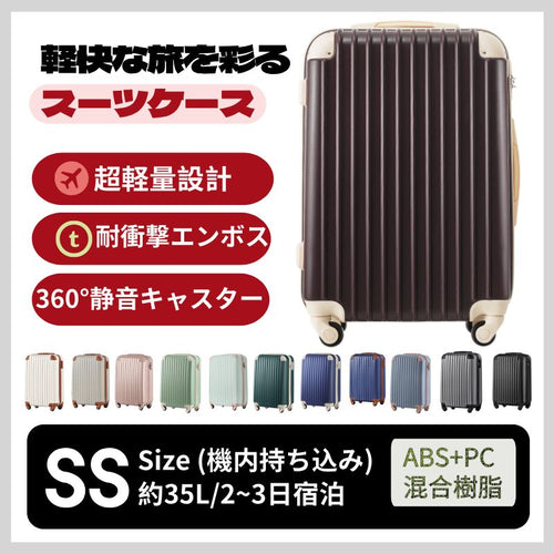 Carry Case Ss Tsa 2 3 1