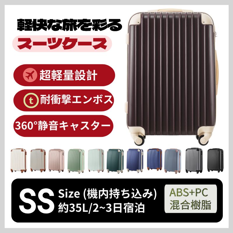 Carry Case Ss Tsa 2 3 1