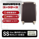 Carry Case Ss Tsa 2 3 1