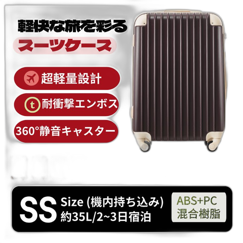 Carry Case Ss Tsa 2 3 1