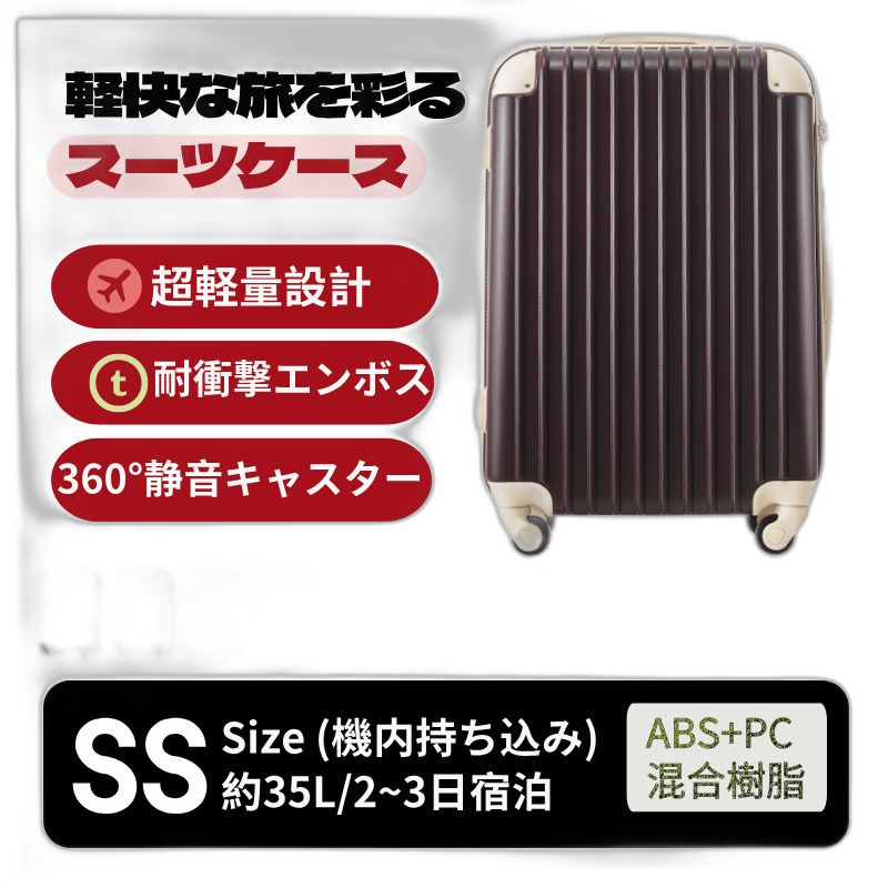 Carry Case Ss Tsa 2 3 1
