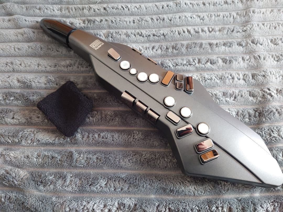 Roland Other Aerophone Ae-05