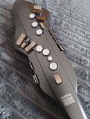 Roland Other Aerophone Ae-05