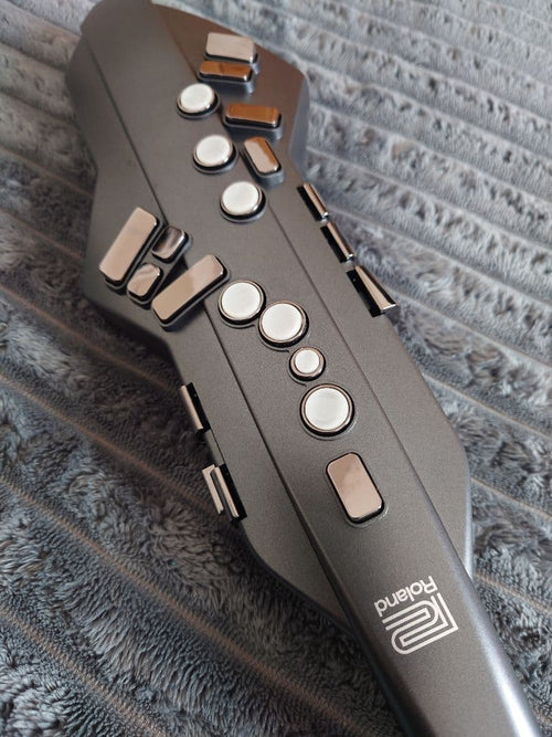Roland Other Aerophone Ae-05