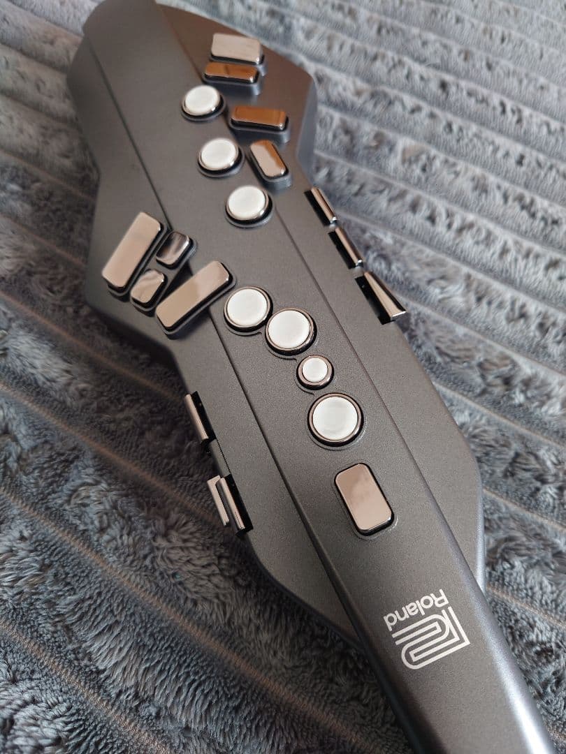 Roland Other Aerophone Ae-05