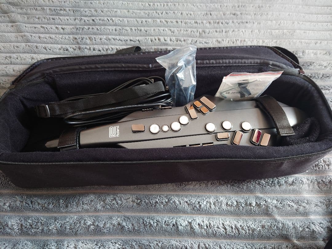 Roland Other Aerophone Ae-05