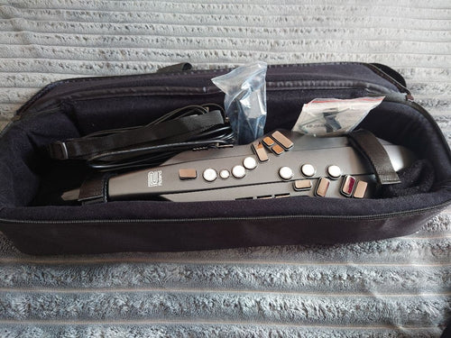 Roland Other Aerophone Ae-05