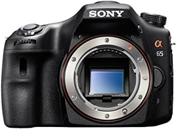 Digital Slr Sony 65 Slt-A65V