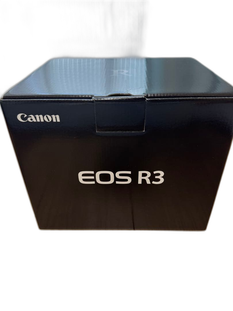 Canon Digital Slr Eos R3