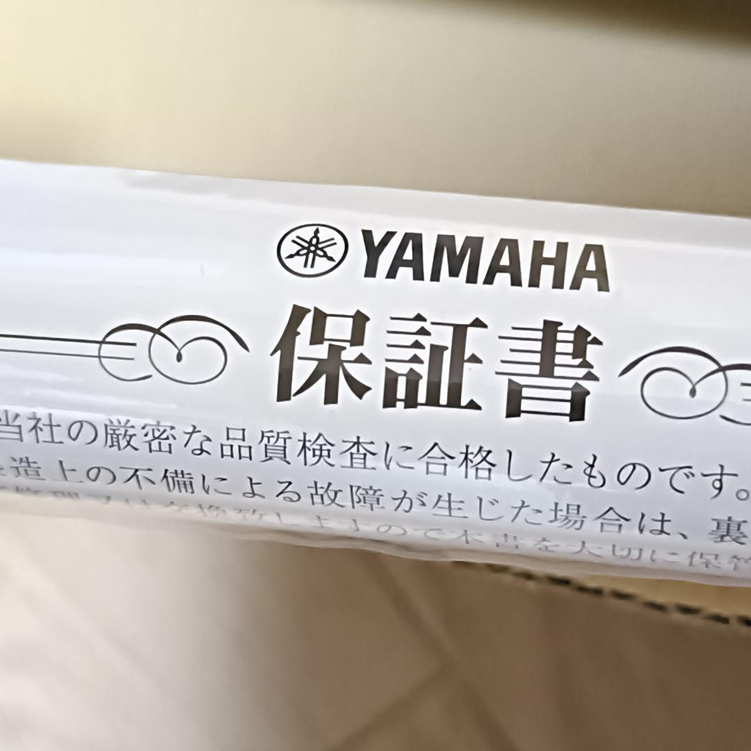 Yamaha Iron Sets Type-D 4 Speedernx Sr