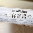Yamaha Iron Sets Type-D 4 Speedernx Sr