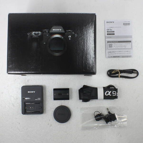 Sony Mirrorless Interchangeable Lips 9Iii Ilce-9M3 262