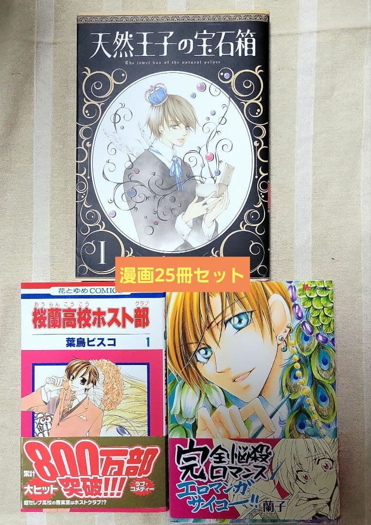 Girl Manga 25