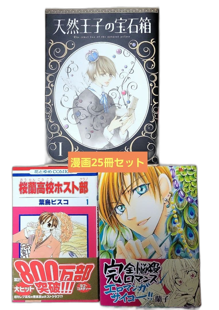 Girl Manga 25