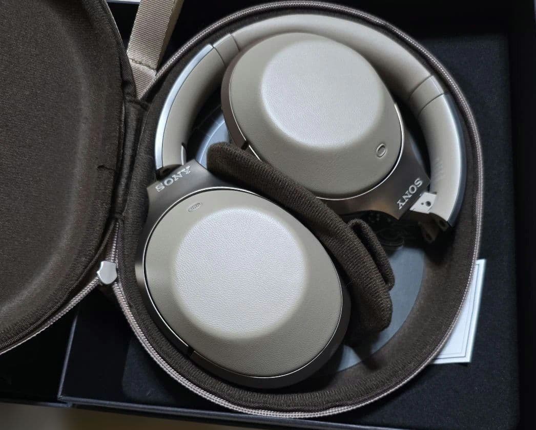 Écouteurs sans fil Sony