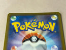 Pokemon Card Game V