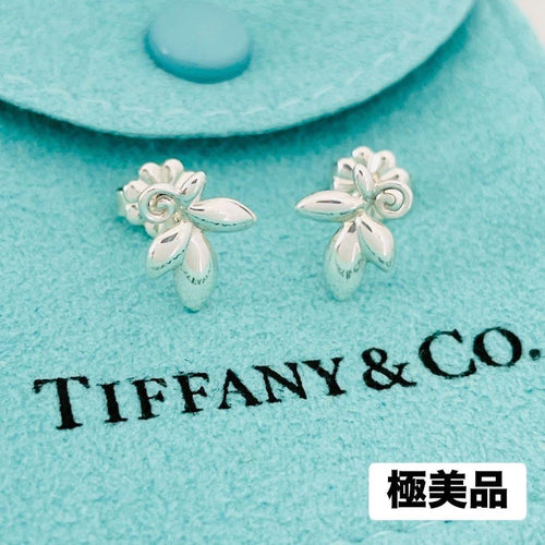 Tiffany Earrings (Pairs) 925 Sv925