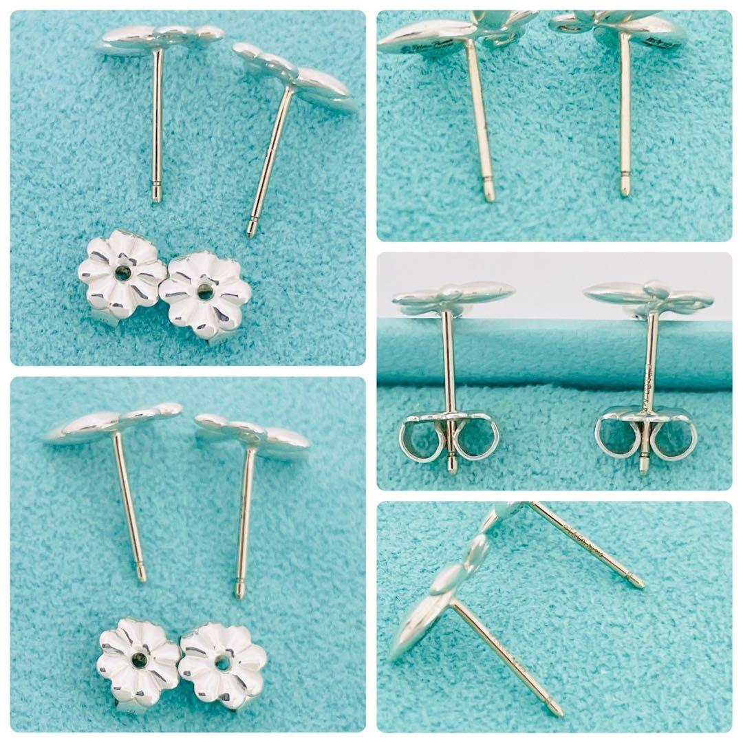 Tiffany Earrings (Pairs) 925 Sv925
