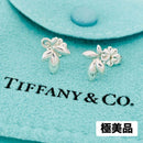 Tiffany Earrings (Pairs) 925 Sv925