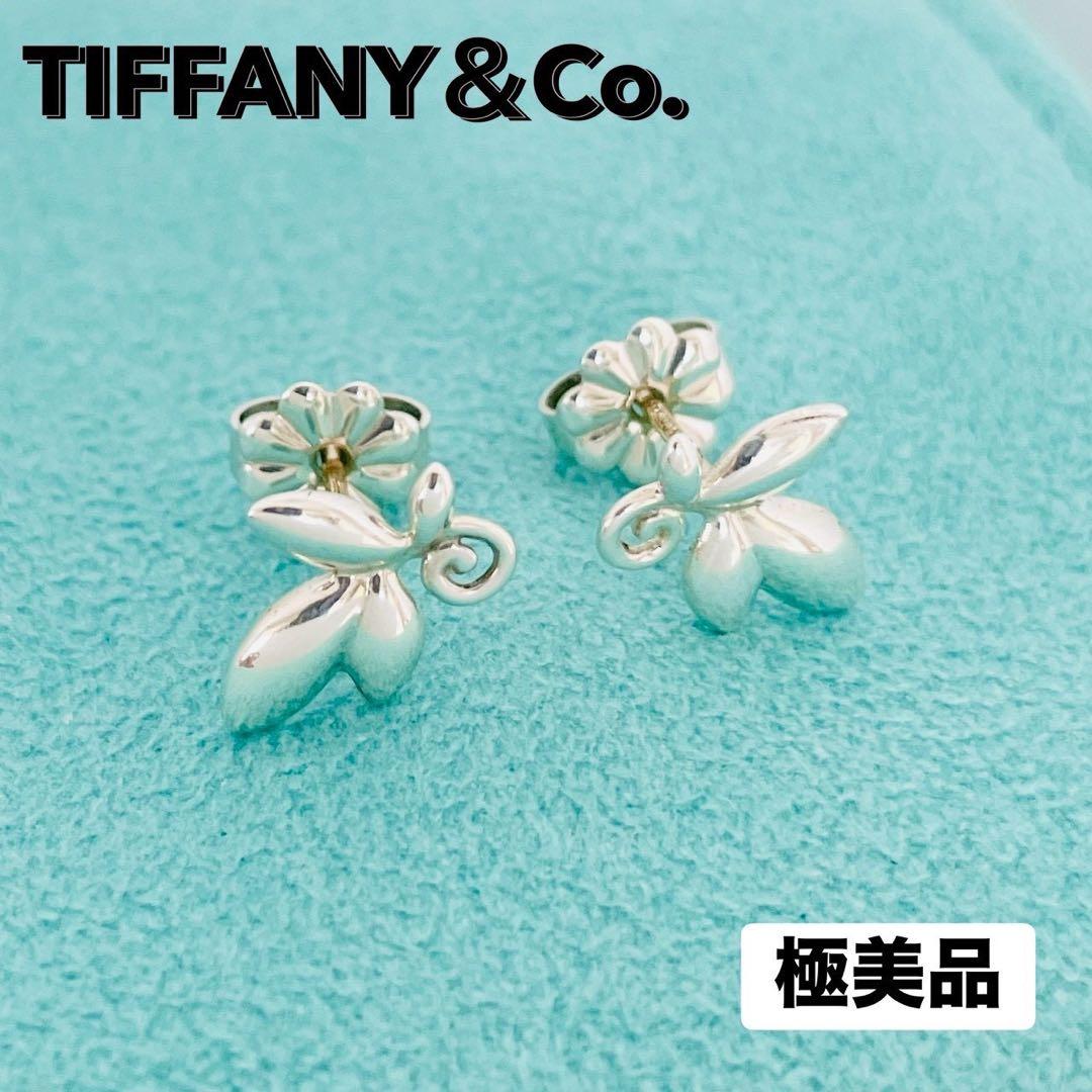 Tiffany Earrings (Pairs) 925 Sv925