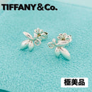 Tiffany Earrings (Pairs) 925 Sv925