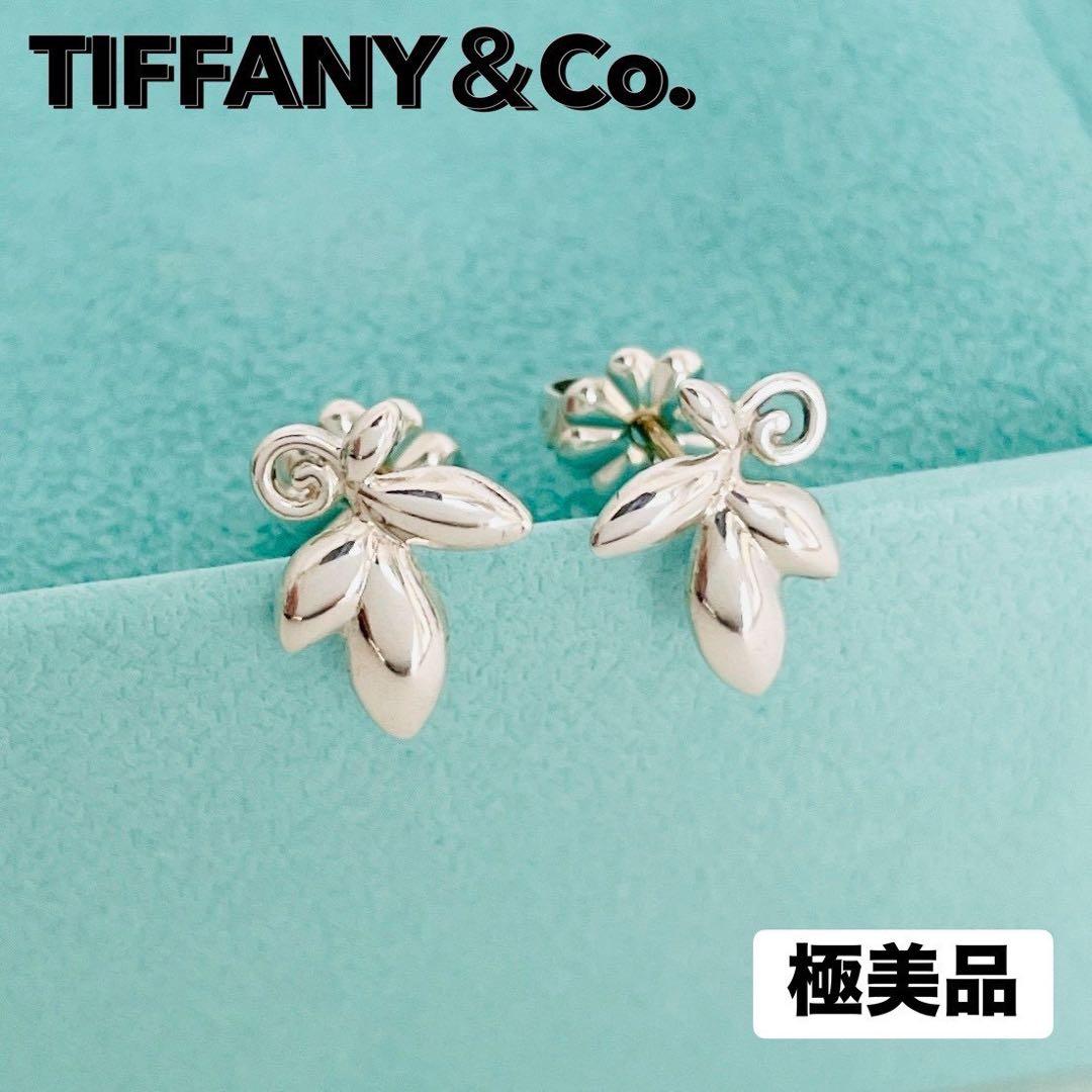 Tiffany Earrings (Pairs) 925 Sv925