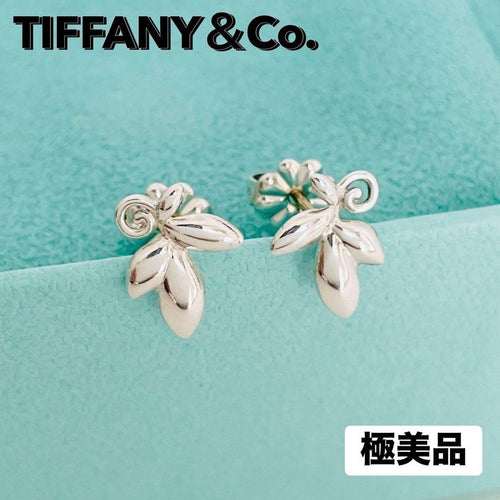 Tiffany Earrings (Pairs) 925 Sv925