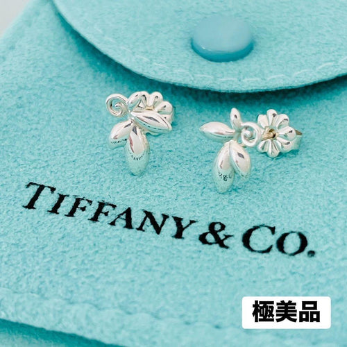 Tiffany Earrings (Pairs) 925 Sv925