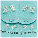 Tiffany Earrings (Pairs) 925 Sv925