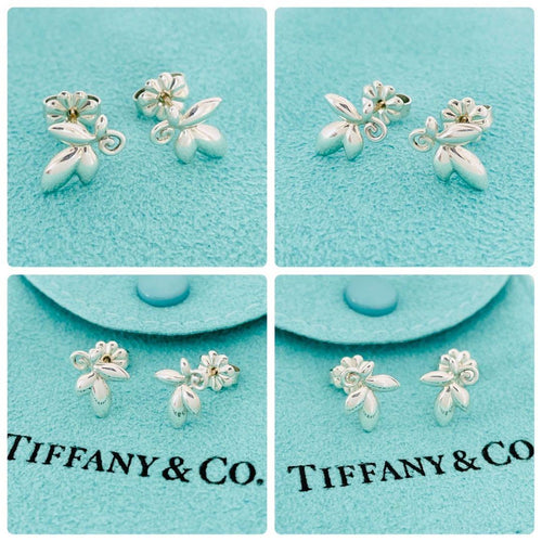 Tiffany Earrings (Pairs) 925 Sv925