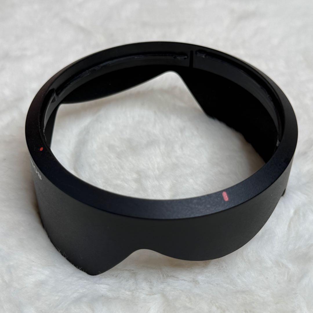 Sony Zoom Lenses Ilce-7M2 7Ii Sel24105G