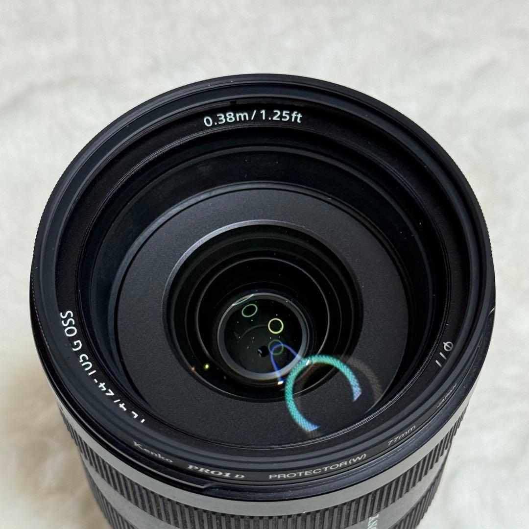 Sony Zoom Lenses Ilce-7M2 7Ii Sel24105G