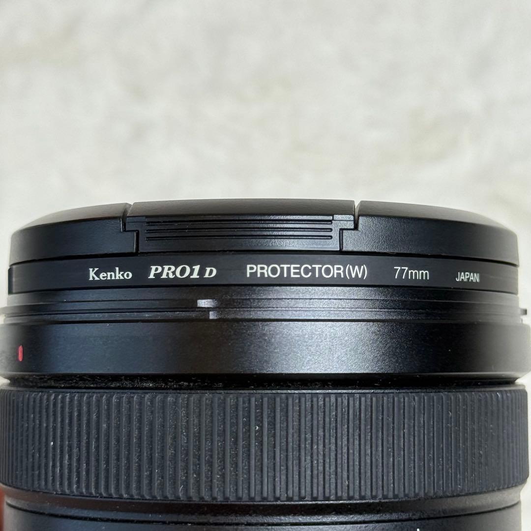 Sony Zoom Lenses Ilce-7M2 7Ii Sel24105G