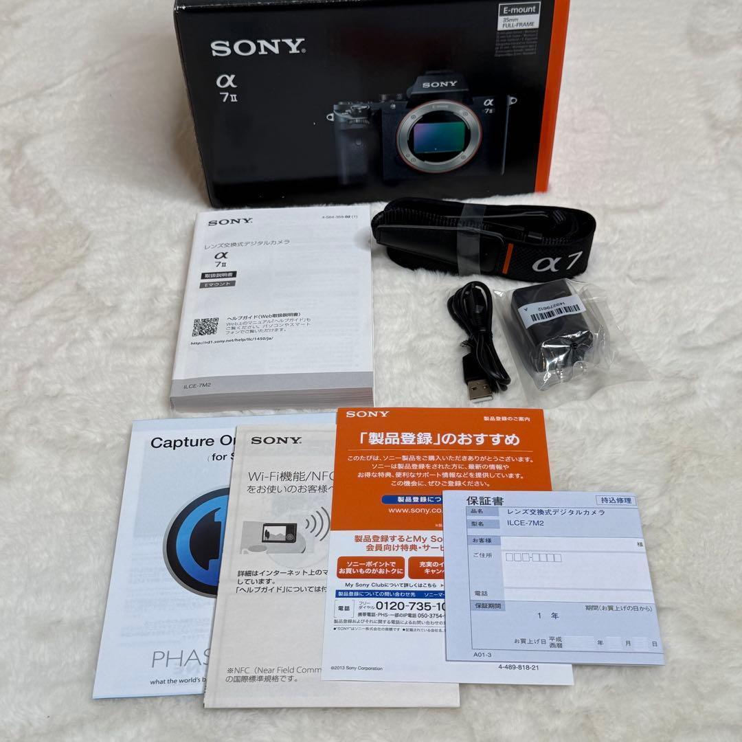 Sony Zoom Lenses Ilce-7M2 7Ii Sel24105G