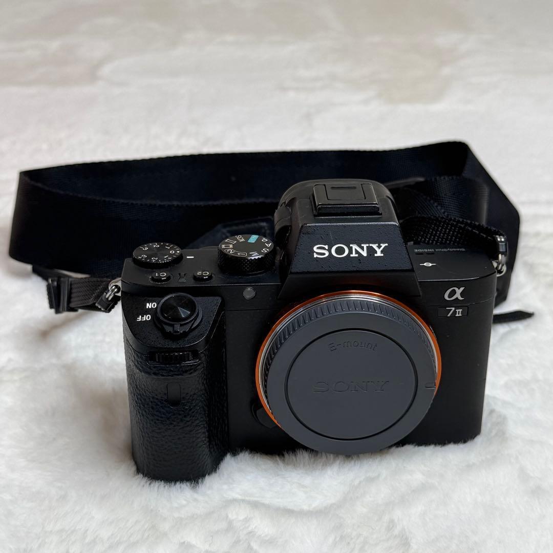 Sony Zoom Lenses Ilce-7M2 7Ii Sel24105G