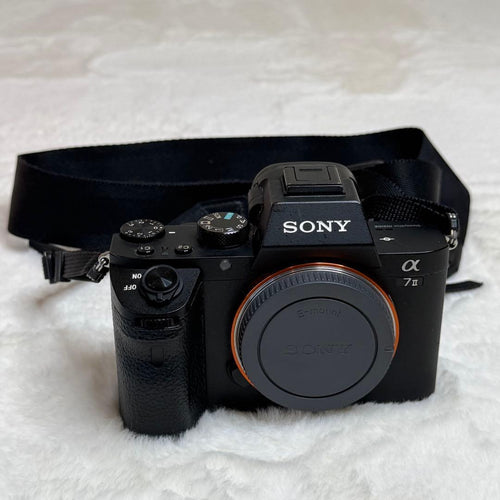 Sony Zoom Lenses Ilce-7M2 7Ii Sel24105G